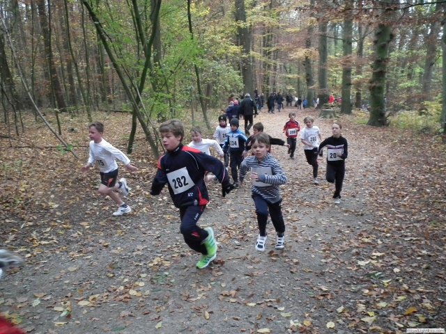 kreis_cross_11__015