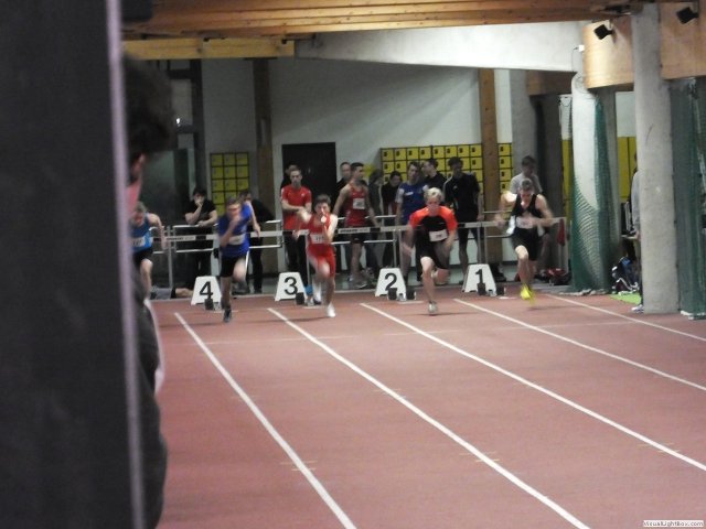 westf_halle_15_u2070