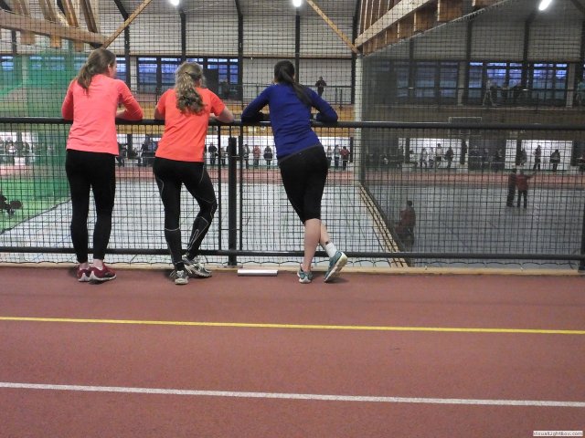 westf_halle_15_u2088