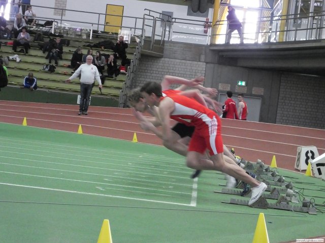 westf_halle_15_u1833