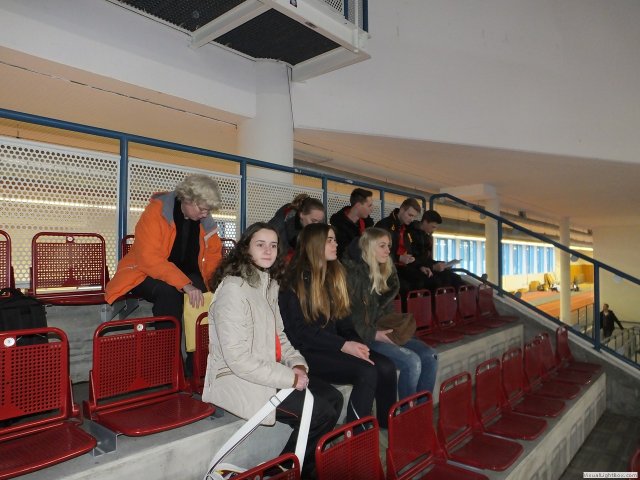 dm_halle_15_u2013